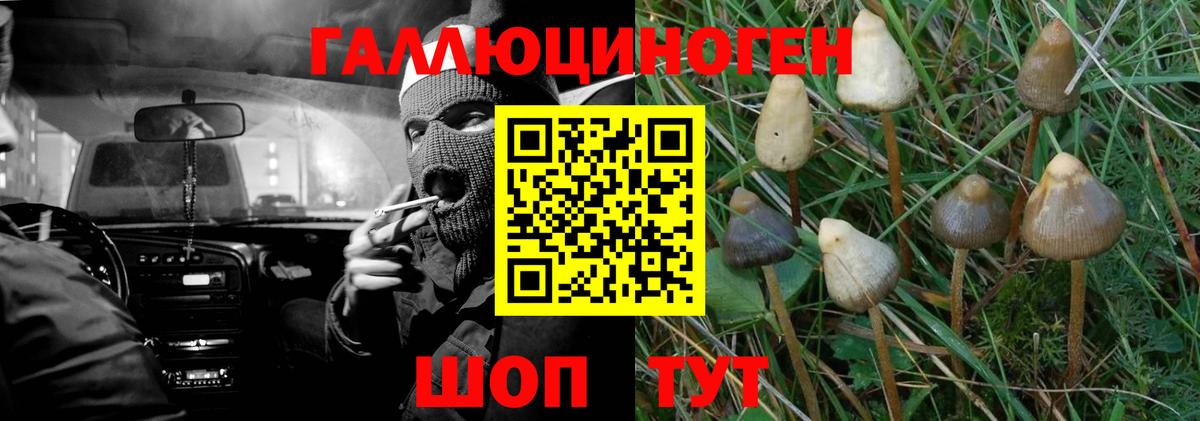 Псилоцибиновые грибы мицелий Белогорск