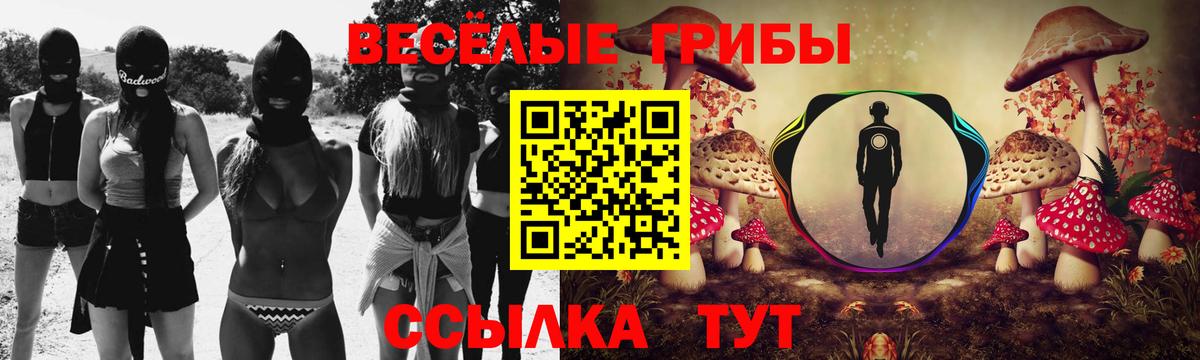 Псилоцибиновые грибы Psilocybine cubensis  Вход с VPN  Белогорск 